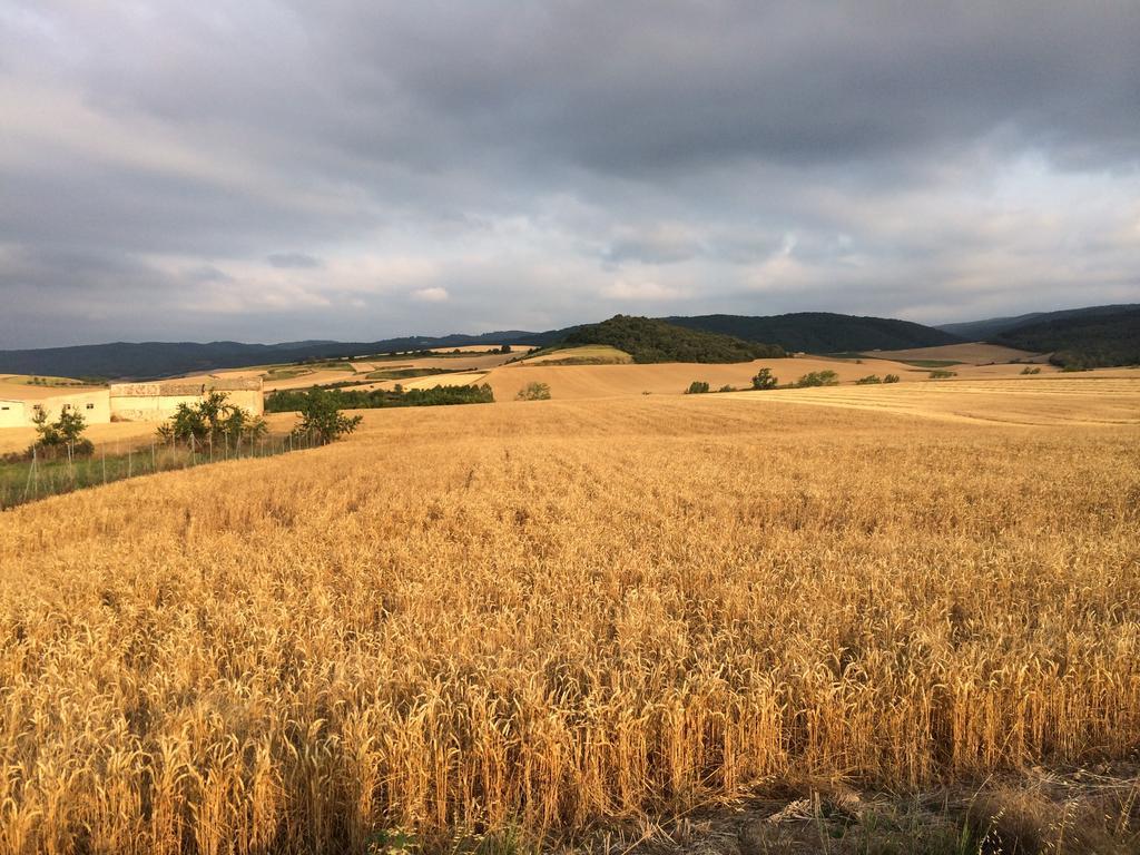 Mihotelito Viloria de Rioja Kültér fotó
